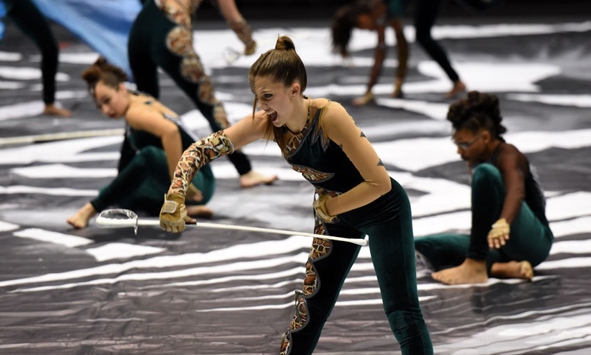 Color Guard Performance